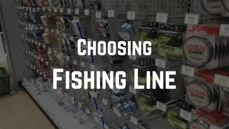 Pic of the different fishing lines for fishing line for beginners article