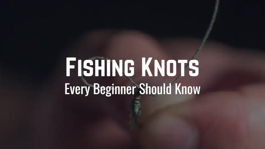Title image for learning about the best fishing knots to use for bass.