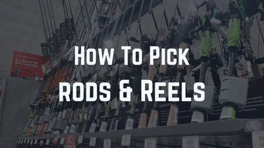 Buyers guide to bass fishing rods and reels for beginners. Learn how to make an informed decision when choosing your next fishing pole combo.