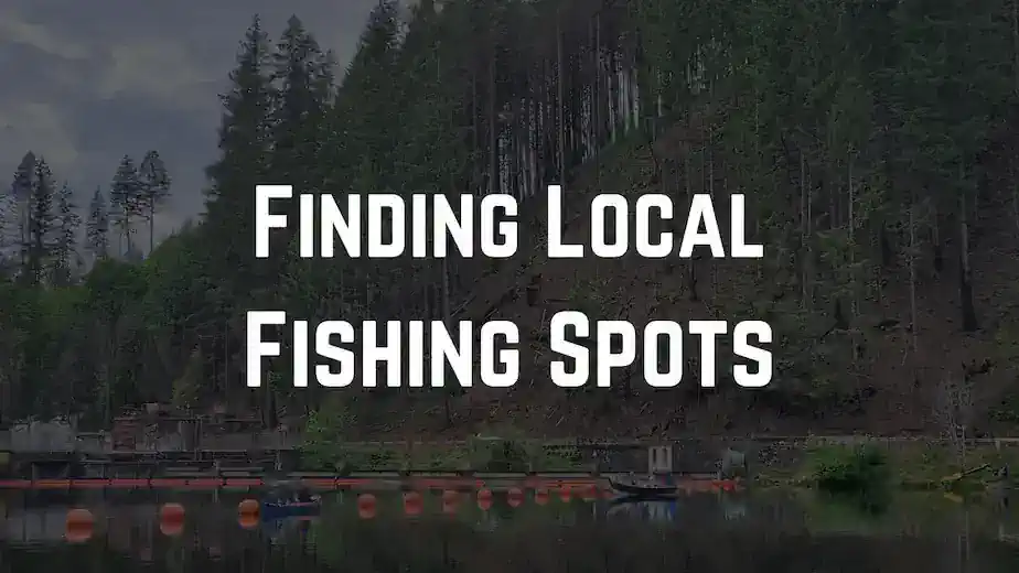 beginner-guide-to-catching-bass-beginner-bass-fishing-tips