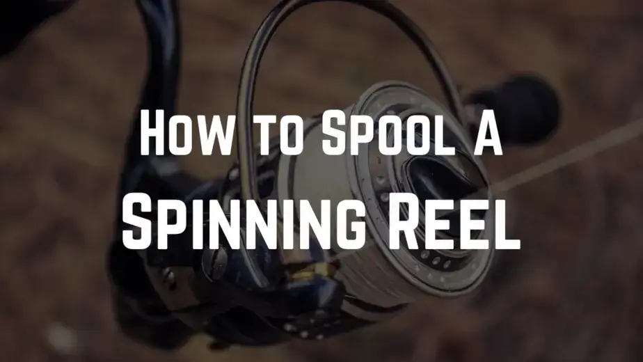 Learn how to put fishing line on a spinning reel.
