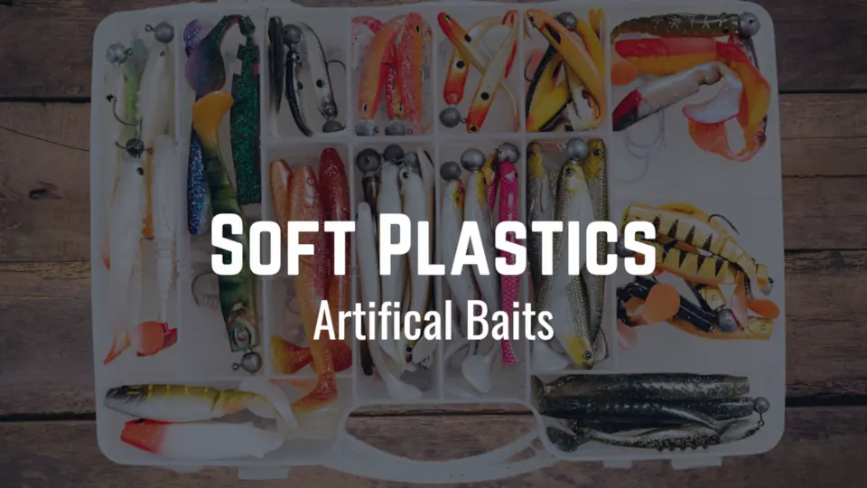 Guide to rigging and using different soft plastic baits and lures to catch bass.