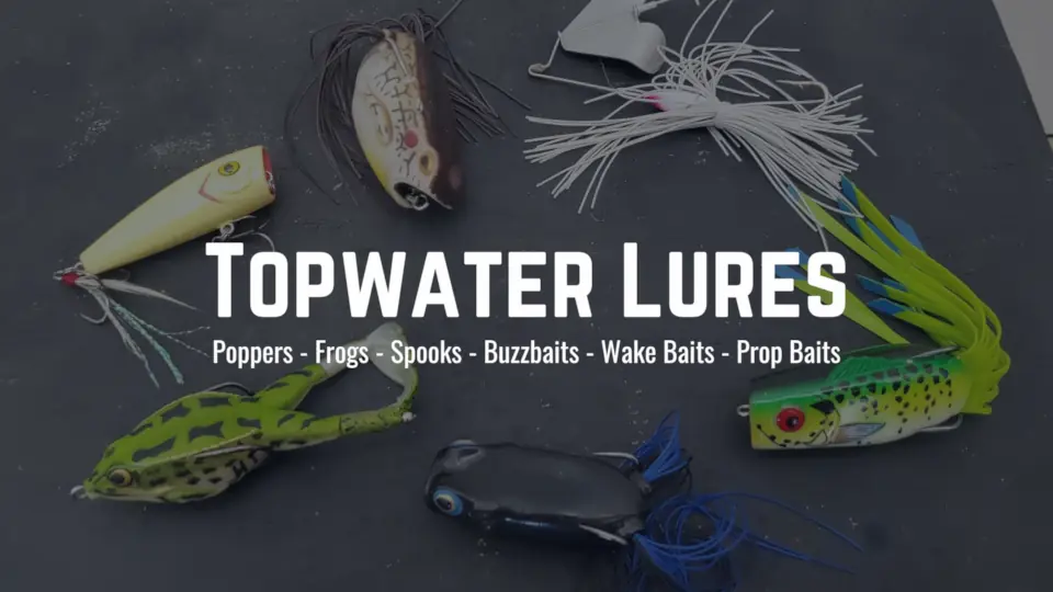 Guide To Bass Fishing Topwater Lures