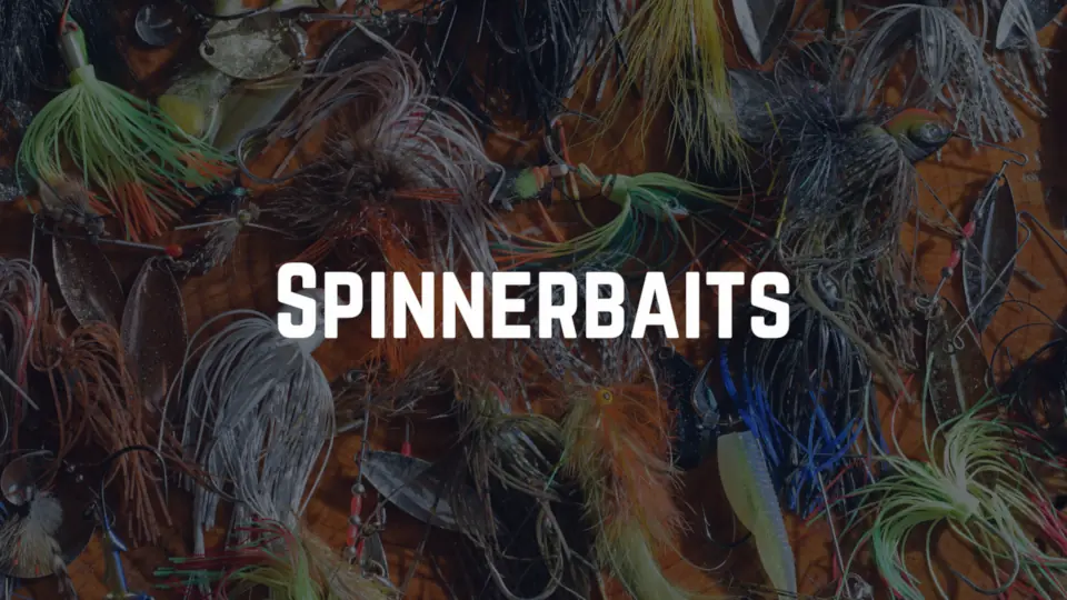 Guide to bass fishing spinnerbaits